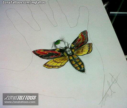 Tattoo flash photo Butterflies, Insects