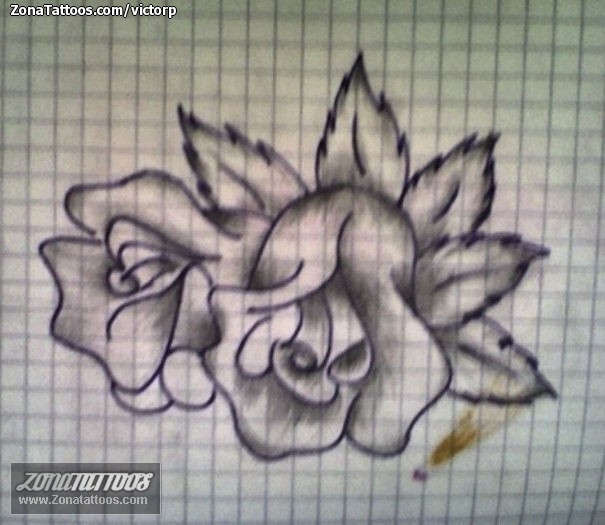 Foto de diseño Flores, Rosas