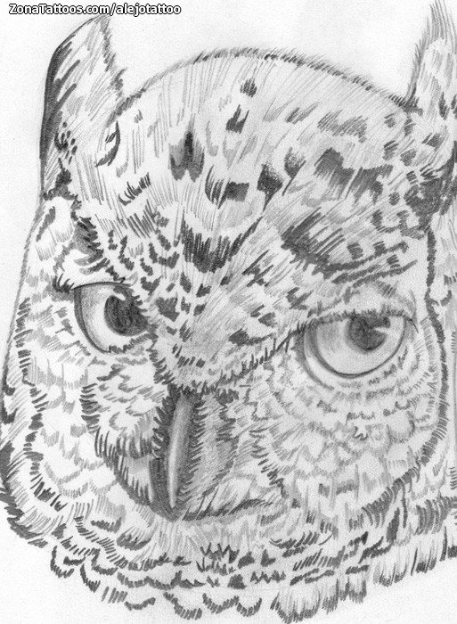 Tattoo flash photo Owls, Birds, Animals