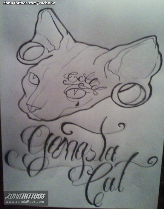 Tattoo flash photo Cats, Letters, Animals