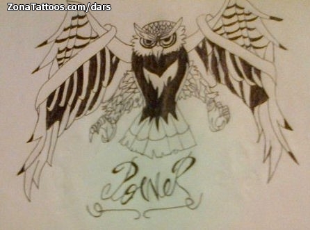 Tattoo flash photo Owls, Birds, Animals