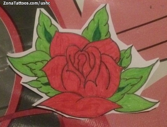 Foto de diseño Rosas, Flores