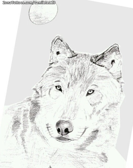 Tattoo flash photo Wolfs, Animals