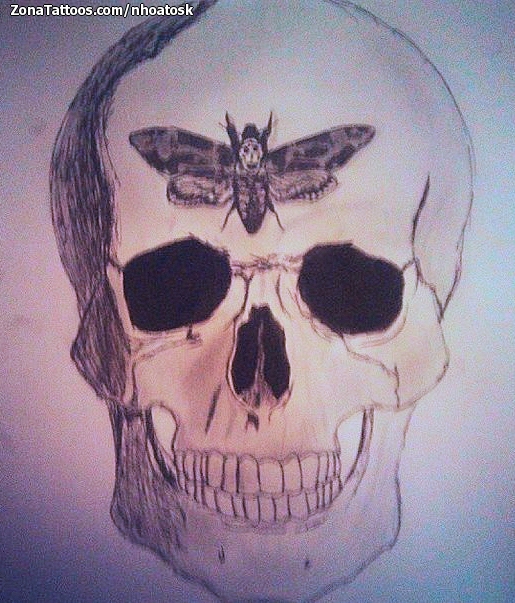 Tattoo flash photo Skulls, Insects, Gothic