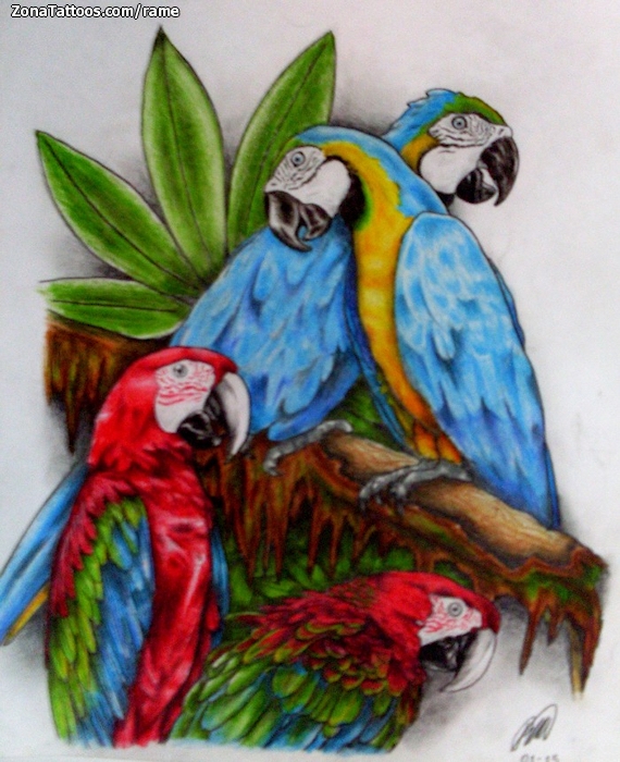 Tattoo flash photo Parrots, Birds, Animals