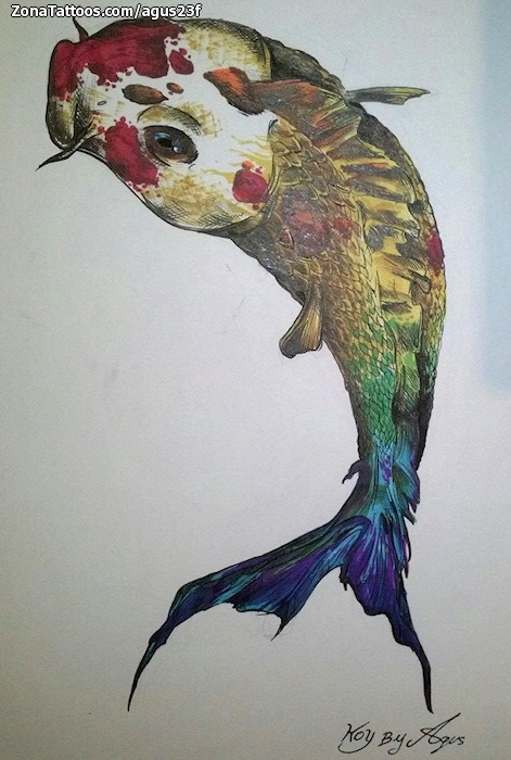 Foto de diseño Koi, Peces, Animales