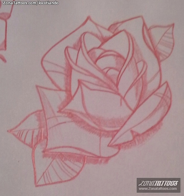 Foto de diseño Rosas, Flores