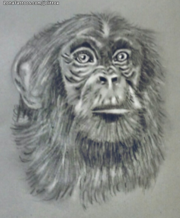 Tattoo flash photo Monkeys, Animals