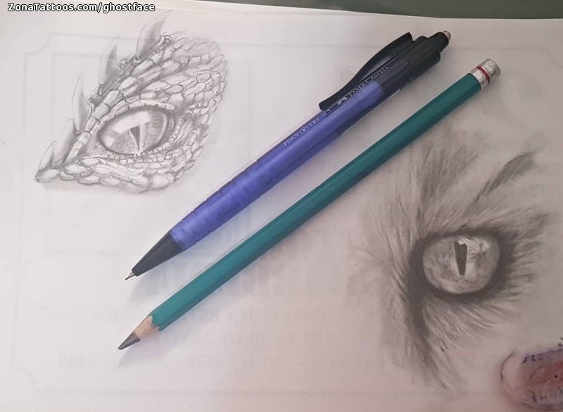 Foto de diseño Ojos, Animales