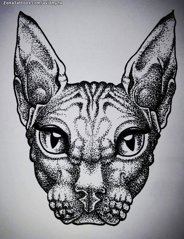 Tattoo flash photo Sphynx, Cats, Animals