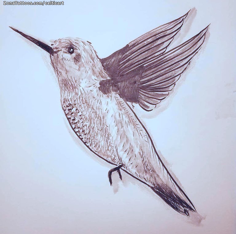 Tattoo flash photo Humming bird, Birds, Animals