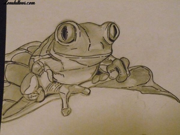 Tattoo flash photo Frogs, Animals