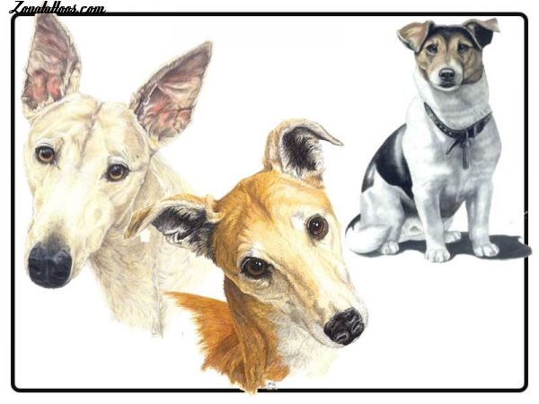 Tattoo flash photo Dogs, Animals