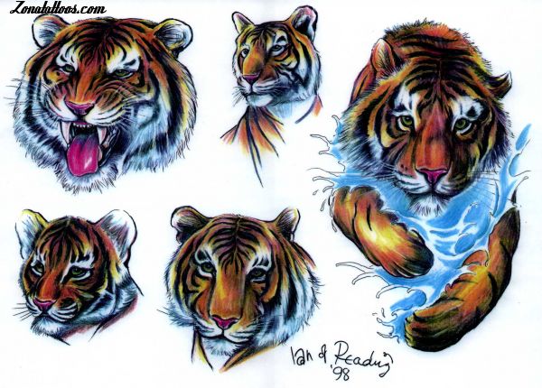 Tattoo flash photo Tigers, Animals