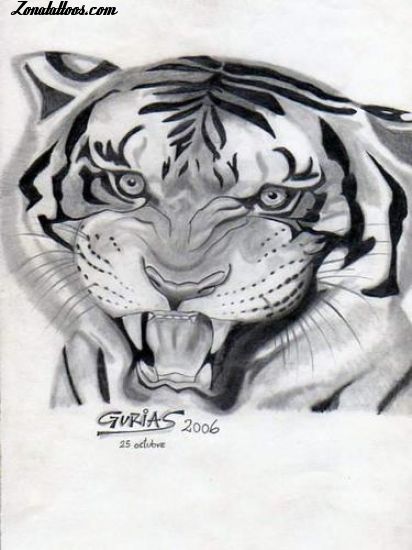 Tattoo flash photo Tigers, Animals