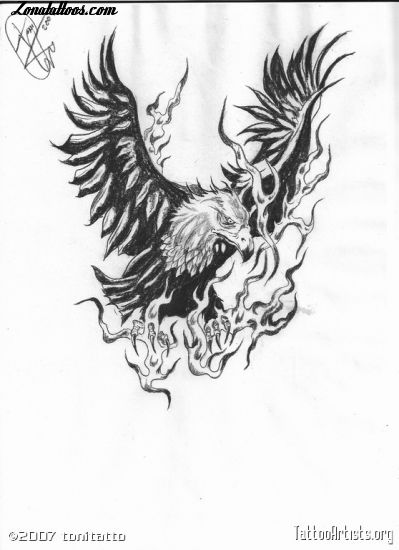 Diseño de Águilas, Aves, Animales