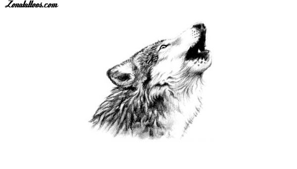 Diseño de Lobos, Animales