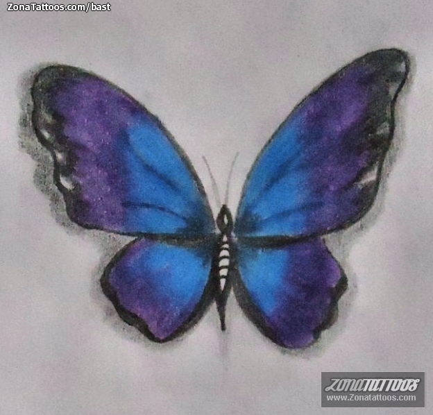 Foto de diseño Mariposas, Insectos, Pequeños